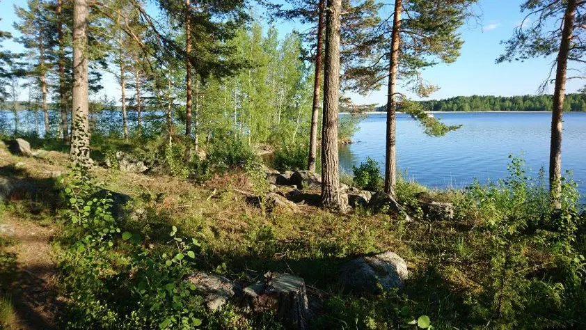 Tontit rakennusliikkeille